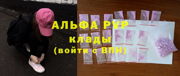 амф Верхний Тагил