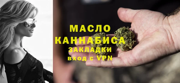 амф Верхний Тагил