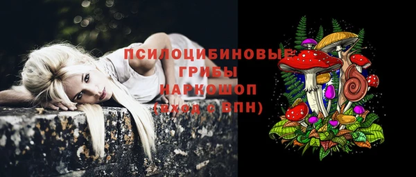 PSILOCYBIN Верея