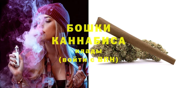 амф Верхний Тагил